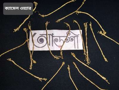 ক্যামেল ওয়্যার