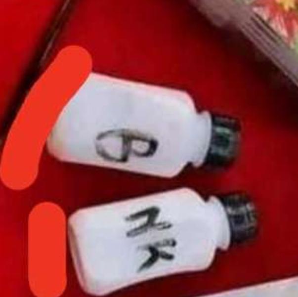 বিগেনার [For Paintings]