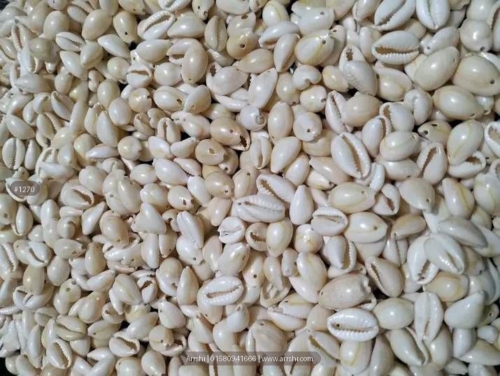 কড়ি - আসল - ছিদ্র - ছোট