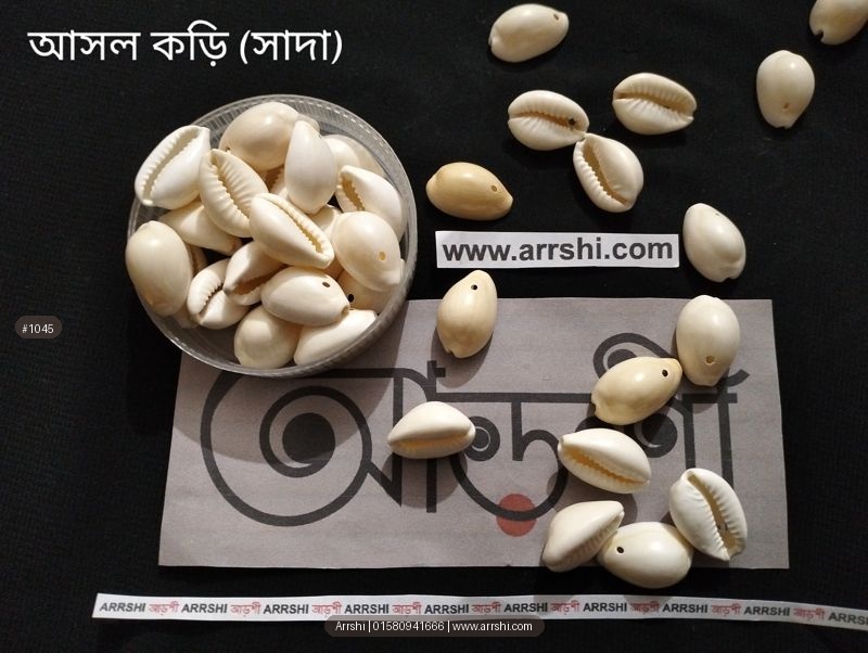 কড়ি - আসল - ছিদ্র - বড়