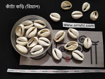 কড়ি - আসল - কাঁটা